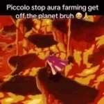Piccolo Aura Farmm (copy)