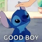 good boy6767