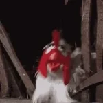 jöttem kurni