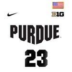 Future Wicked (Official Music Video) - Sound