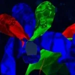 new jolly rancher clouds gorilla horror