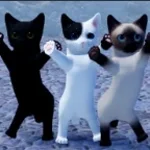 Recording 03/10/26 21:16:38 (copy)