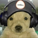 Timmy Tuner diciendo Ya me creció la Vrg4 - Sound