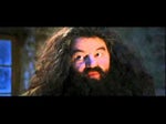 Harry Potter 1 - Hagrid - You are a wizard Harry