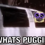 Recording 01/30/26 01:37:58