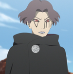 Deepa- "Cooked into an entree"