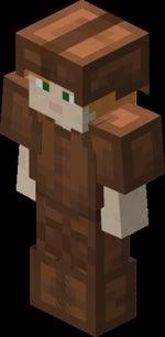 Leather armor - Equip