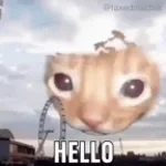 Hello! Hello! Hi