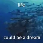 life could be a dream