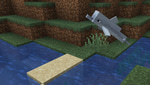 Dolphin - Jump 1