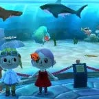 museum aqarium animal crossing new leaf