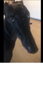 Over There!(boosted)