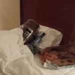 Cat clicker  Sound Effect