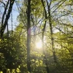 I thought i saw your face today.