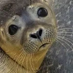 o o o o o o o o o o o o o