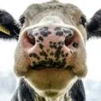 open your watch funny