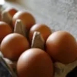 Explosive Diarrhea Sounds (copy)