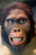 why so serious jonkler sped up