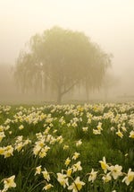 The Loneliness Came Back Worse Than I Remember