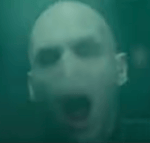 Voldemort Avada Kedavra!