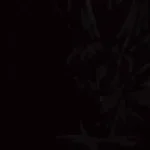 Clash (DBZ Sound Effect)