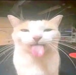 TAKIS & PRIME CLASHGAMES