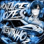 MONTAGEM VOZES TALENTIHNO 2