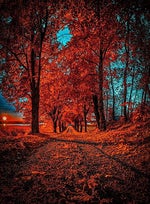 Kanino ka lang - Sound