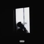 Nobu Woods - TWENTY NIGHTS (copy)