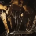 Fist my bump