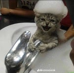 New Super Mario Bros--