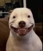 clap on clap off the clapper