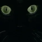 Crystal of Faded Childhood