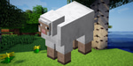 Sheep - Sound 2 - Sound