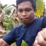 how ant see the world