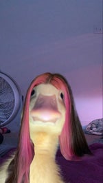 Raze ultimate sound effect