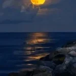 Moon light