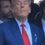 Trump Goon