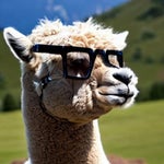 Hey girls how ye doin?