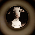 random slowed goofy laugh