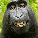 動画 2024 05 19 12 22 30 - Sound