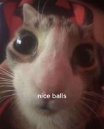 Bogdan de la Cluj Aragazul