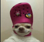 android notification