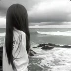 shark_likes_little_kids_x_light