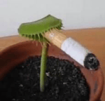 Jiafei products - Sound