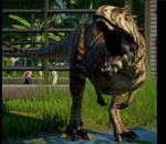 Metri Roar