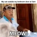 man meows at egg