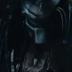 Predator clicking (Loud)