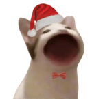 Silent Partner Spring In My Step