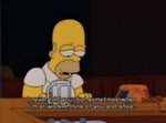 Homer Simpson : The Simpsons Told you